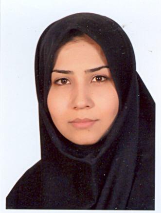 مهندس راحیل محمدی